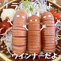 画像339